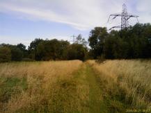 Field near Osney, Oxford