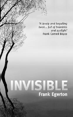 StreetBooks, Invisible, cover